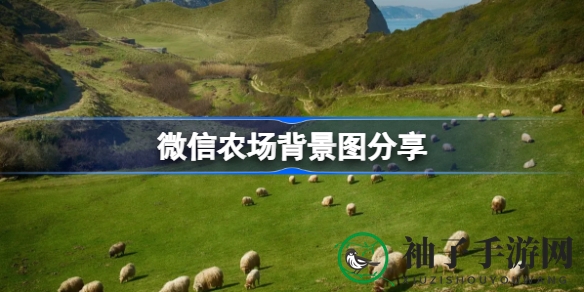 微信农场背景图大揭秘：可爱动物点缀，个性农场任你选