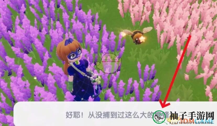 《心动小镇》熊蜂委托任务攻略