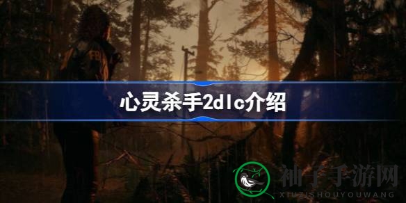 《心灵杀手2》揭秘：双生噩梦，命运交织的逃脱之旅