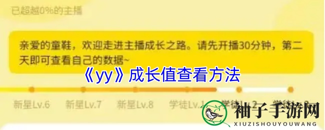 揭秘YY成长之旅：解锁神秘等级，探索奇幻世界