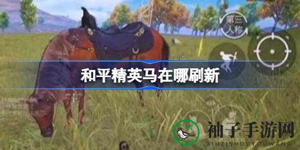 驾驭战马，驰骋沙场：揭秘和平精英马匹刷新奥秘