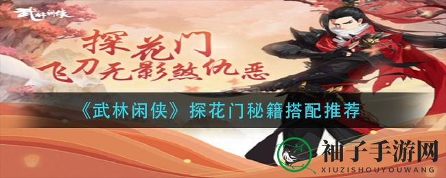 《武林闲侠》探花门秘籍搭配推荐