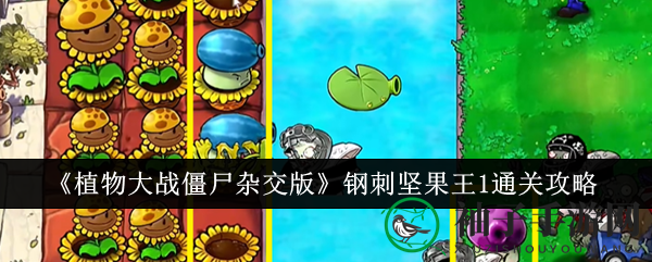 《植物大战僵尸杂交版》钢刺坚果王1关卡攻略：巧分配阳光，布阵通关指南