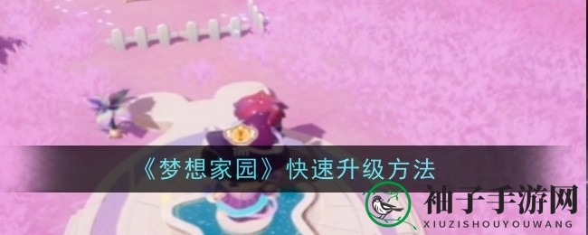 揭秘《梦想家园》升级奥秘，四大秘籍助你畅游虚拟世界