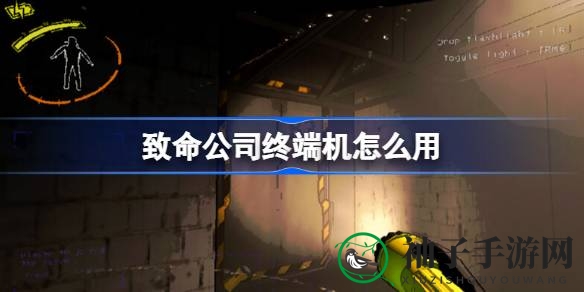 终端操控秘籍：玩转《游戏致命公司》的终端操控艺术