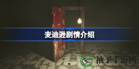 《MADiSON》惊悚剧情揭秘：第一人称视角探索恐怖内核