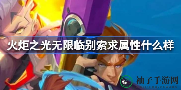 《火炬之光无限》神秘装备揭秘：临别索求属性解析与攻略分享