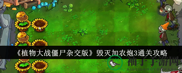 《植物大战僵尸杂交版》毁灭加农炮3通关攻略