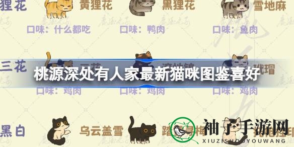 《有人家》新版本猫咪家族萌宠揭秘，个性图鉴大公开