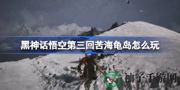 《黑神话：悟空》苦海龟岛攻略全解，轻松征服神秘龙岛