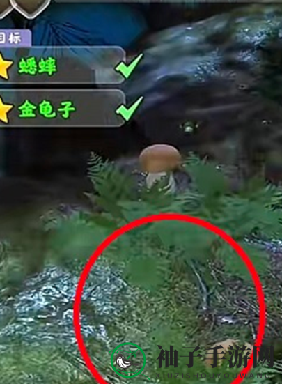 《夺笋高手》七彩蟋蟀位置分享