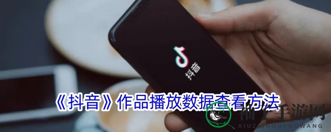 《抖音》作品播放数据查看方法