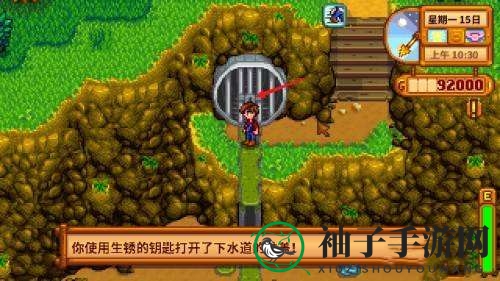 《星露谷物语》下水道进入方法详解
