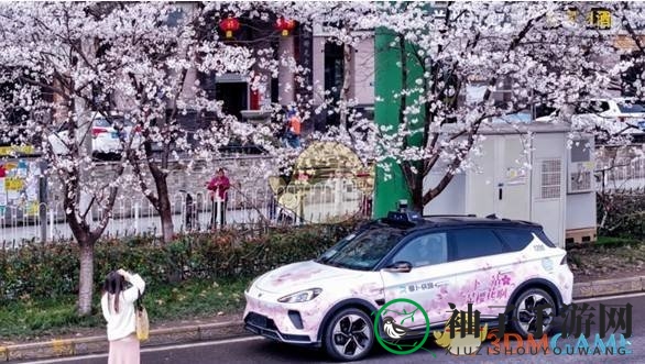 《萝卜快跑》乘坐人数上限揭秘
