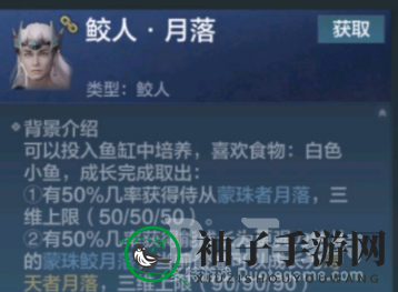 幻想山海大陆揭秘：捕捉人鱼侍从的神秘之旅，全新挑战等你来战！