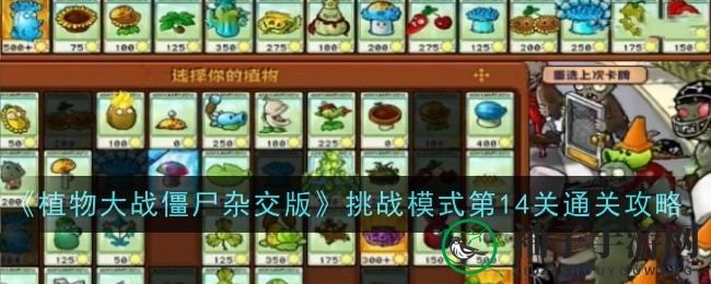 《植物大战僵尸杂交版》挑战模式第14关通关攻略大揭秘