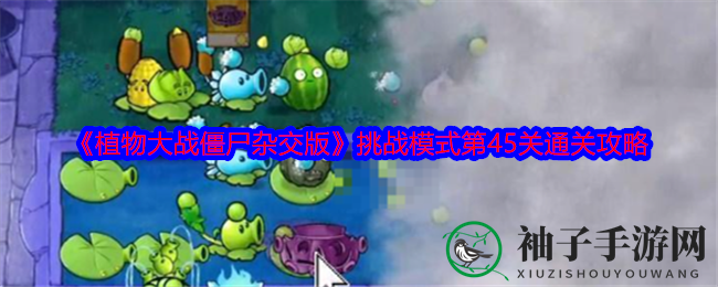《植物大战僵尸杂交版》第45关攻略：水陆布局，火力全开