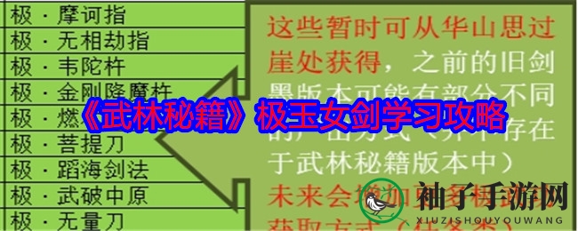 华山剑影，白衣仙缘：探寻《武林秘籍》极玉女剑修炼奥秘