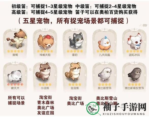 《奥比岛手游》宠物分布位置大全