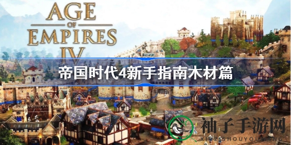 帝国时代4新手指南：木材资源管理攻略，轻松掌握木材采集与利用
