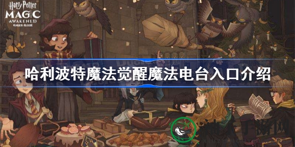 哈利波特魔法觉醒：神秘电台揭秘，魔法频道等你聆听