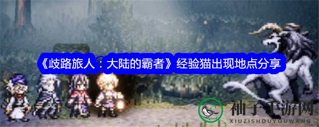 歧路旅人：探秘神秘猫影，经验宝库等你来寻
