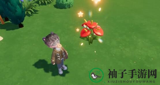 《心动小镇》花烛繁育技巧