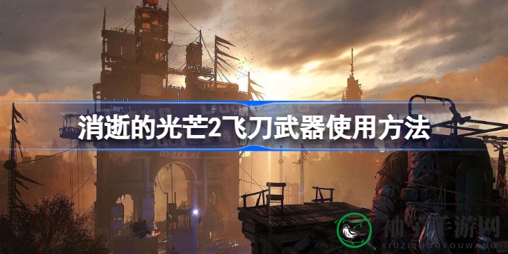 《消逝的光芒2》飞刀武器操作攻略大揭秘，精准投掷技巧助你畅游游戏世界