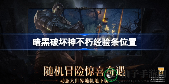 揭秘暗黑破坏神不朽：解锁角色升级经验条全攻略
