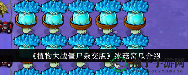 《植物大战僵尸杂交版》冰菇窝瓜：神秘冰封之力攻略揭秘