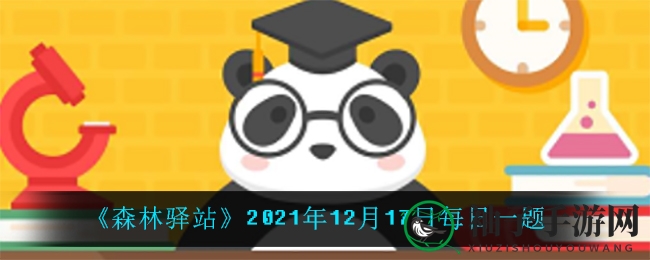 《森林驿站》2021年12月17日每日一题