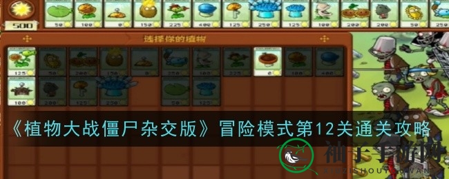 《植物大战僵尸杂交版》第12关攻略揭晓：轻松通关解锁神秘豌豆许愿池