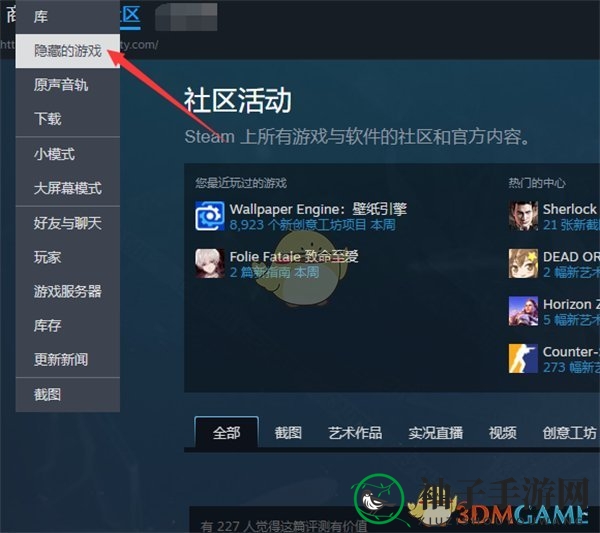 《steam》已隐藏游戏打开方法