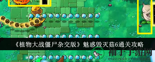 《植物大战僵尸杂交版》魅惑毁灭菇6关卡攻略：布局策略+传送门技巧助你轻松通关