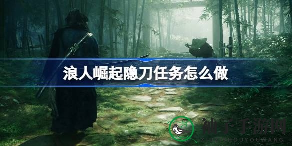《浪人崛起》终极篇章“隐刀”攻略揭秘：玩家抉择影响结局，挑战与抉择并存