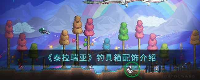 《泰拉瑞亚》钓具箱配饰介绍