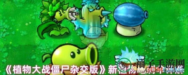《植物大战僵尸杂交版》新植物地刺伞详解