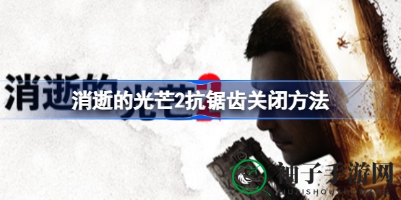 《消逝的光芒2》抗锯齿关闭攻略揭秘：轻松解锁视觉新体验