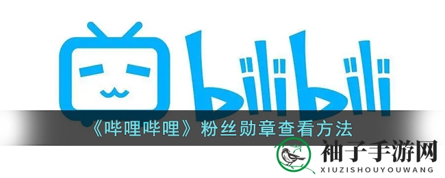 揭秘B站粉丝勋章：轻松查看攻略，解锁个性荣耀风采