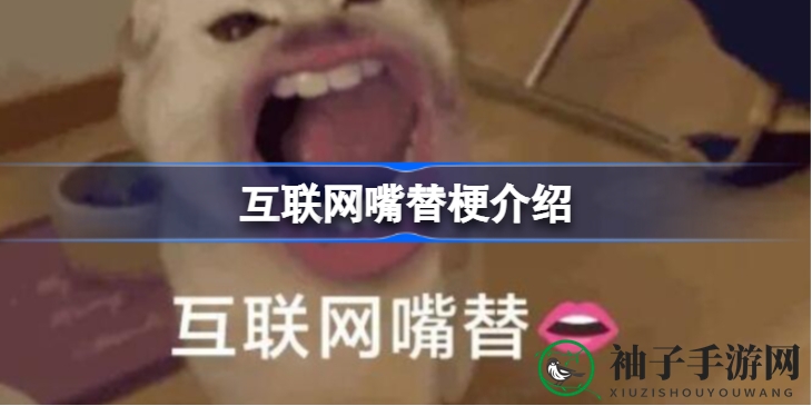 网络心声的神秘代言人：揭秘“我的互联网嘴替”