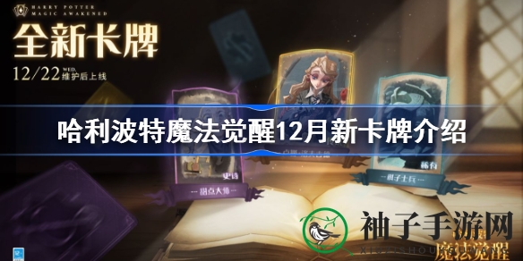 揭秘圣诞惊喜：哈利波特魔法觉醒新卡牌华丽登场
