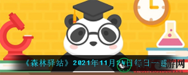 《森林驿站》谜题揭晓：蜻蜓点水，尾动奥秘揭晓