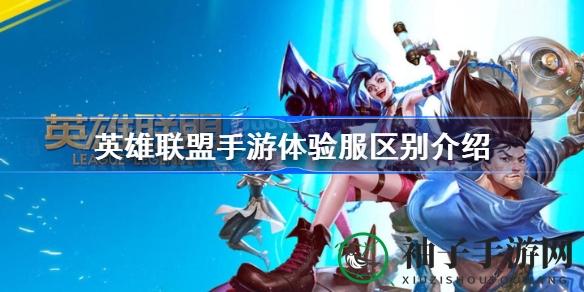 揭秘：英雄联盟手游体验服，测试先行，畅享未来新版本魅力