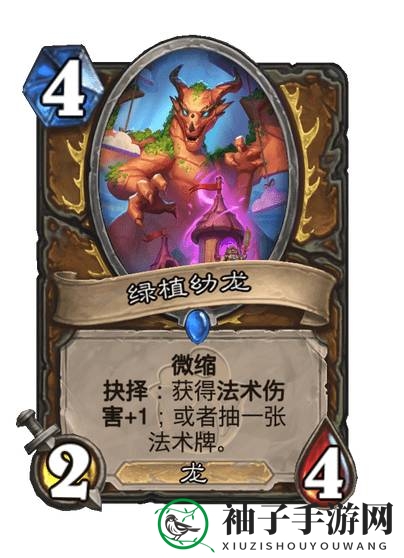 《炉石传说》威兹班的工坊新卡绿植幼龙详细介绍