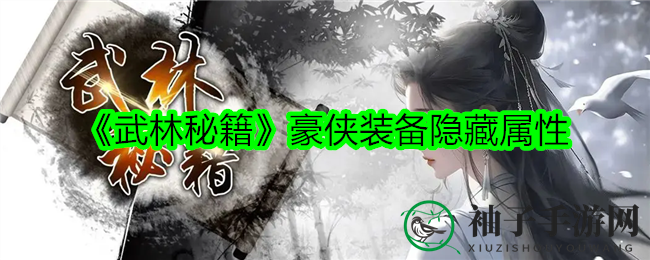 《武林秘籍》豪侠装备隐藏属性
