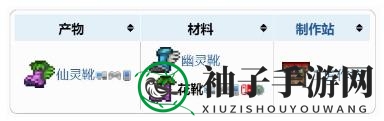 《泰拉瑞亚》花靴配饰介绍