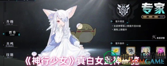 《神行少女》真白狐族公主勇敢启程，揭开神秘面纱，女武神英勇形象引期待