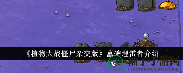 《植物大战僵尸杂交版》墓碑雷者新角色亮相：夜幕吞噬者，独门绝技等你探索