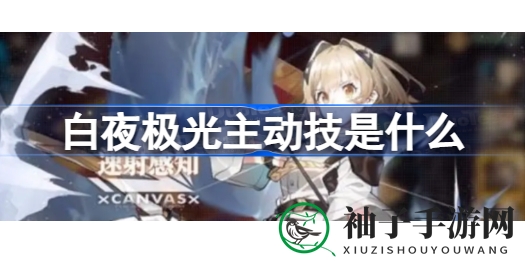 解锁《白夜极光》战斗精髓：揭秘光灵角色的主动技秘籍