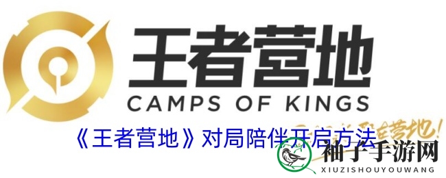《王者营地》对局陪伴攻略：轻松开启语音功能，享受战斗新体验
